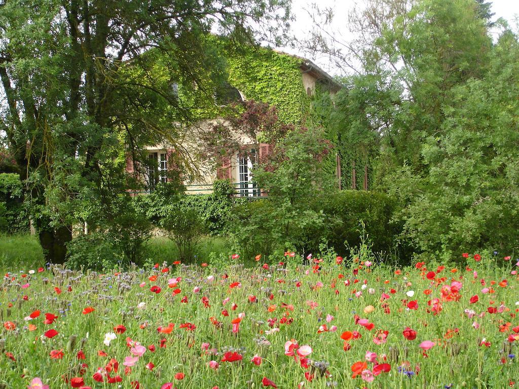 Une Campagne En Provence Bras المظهر الخارجي الصورة