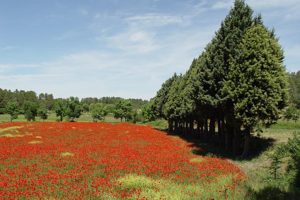 Une Campagne En Provence Bras المظهر الخارجي الصورة