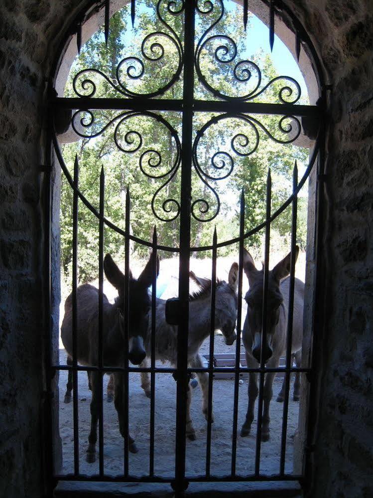 Une Campagne En Provence Bras المظهر الخارجي الصورة