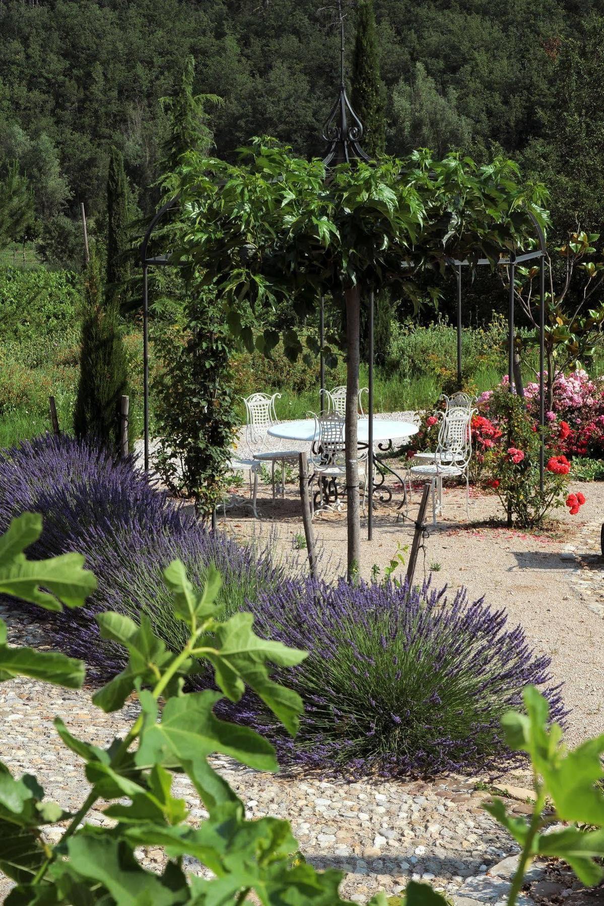 Une Campagne En Provence Bras المظهر الخارجي الصورة